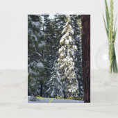 Weihnachtskarte 2006 feiertagskarte (Vorderseite)