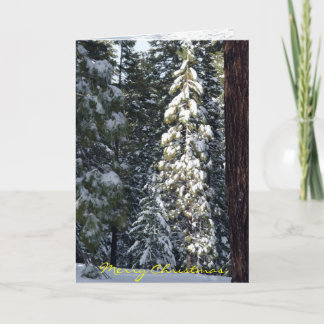 Weihnachtskarte 2006 feiertagskarte