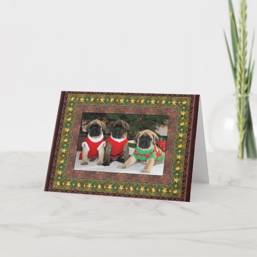 Weihnachtskarte 2 feiertagskarte (Vorderseite)