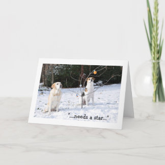 Weihnachtskarte, 2 Hunde im Schnee, der Baum Feiertagskarte