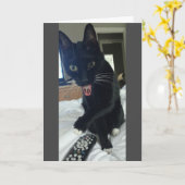 Weihnachtskarte 50. Katze Karte (Gelbe Blume)