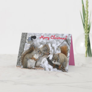 Weihnachtskarte 7 x 5" mit Herrn Bickles Dankeskarte