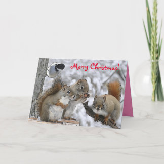 Weihnachtskarte 7 x 5" mit Herrn Bickles Dankeskarte