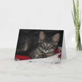 Weihnachtskarte am Kaspischen Meer Feiertagskarte