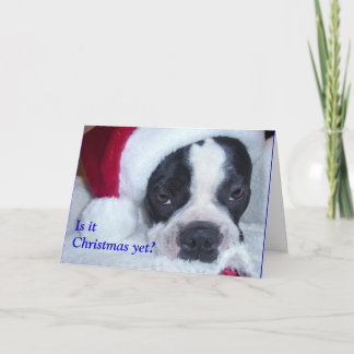 Weihnachtskarte Bostons Terrier Feiertagskarte