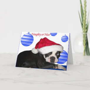 Weihnachtskarte Bostons Terrier Feiertagskarte