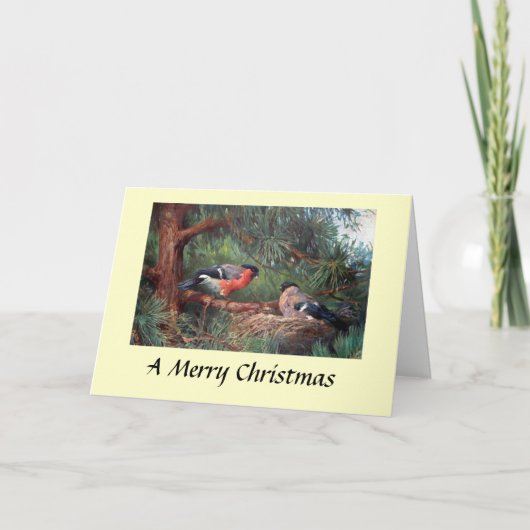 Weihnachtskarte - Bullfinen Feiertagskarte (Vorderseite)