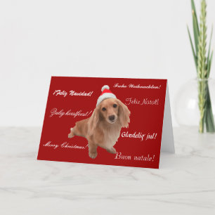Weihnachtskarte "Dackel" Weihnachten