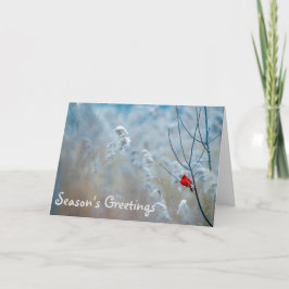 Weihnachtskarte der Kardinal-Saison Karte