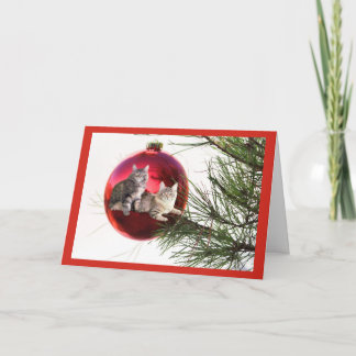 Weihnachtskarte der Katze Feiertagskarte