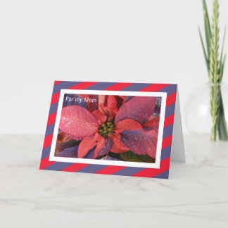 Weihnachtskarte der Mama — Poinsettia Feiertagskarte