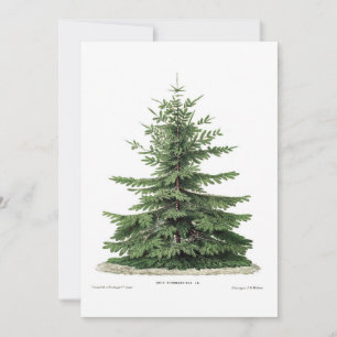 Weihnachtskarte des Botanischen Pine Tree Feiertagskarte