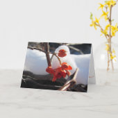 Weihnachtskarte "Die Stille der Nation" Karte (Gelbe Blume)