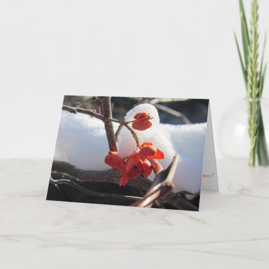 Weihnachtskarte "Die Stille der Nation" Karte (Vorderseite)