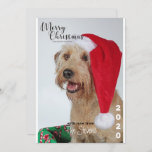 Weihnachtskarte Dog Pet Foto Collage Einladung<br><div class="desc">Weihnachtskarten-Familienzusammenstellung für Fotos</div>