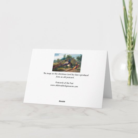 Weihnachtskarte - Fasan Feiertagskarte (Rückseite)