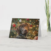 Weihnachtskarte Feiertagskarte (Vorderseite)