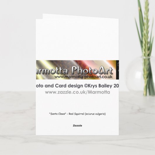 Weihnachtskarte Feiertagskarte (Rückseite)