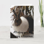 Weihnachtskarte Feiertagskarte (Vorderseite)