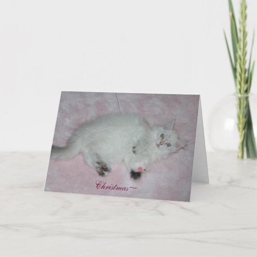 Weihnachtskarte Feiertagskarte (Vorderseite)