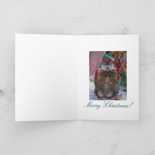 Weihnachtskarte Feiertagskarte (Innenseite)