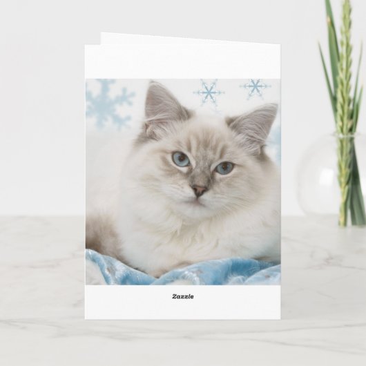 Weihnachtskarte Feiertagskarte (Rückseite)