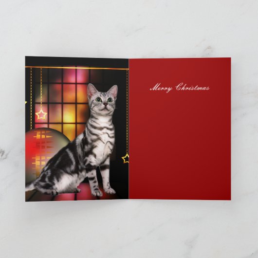 Weihnachtskarte Feiertagskarte (Innenseite)