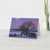 Weihnachtskarte Feiertagskarte (Rückseite)