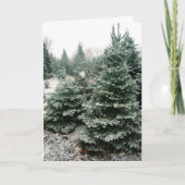 Weihnachtskarte Feiertagskarte (Vorderseite)