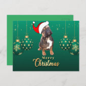 Weihnachtskarte französische Bulldoggen Christmas Postkarte (Vorne/Hinten)