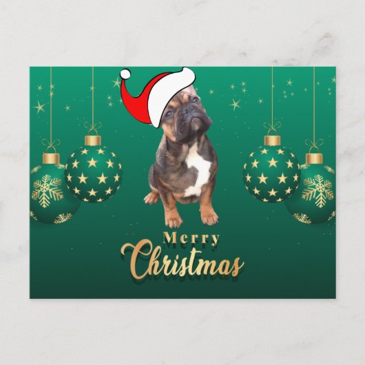 Weihnachtskarte französische Bulldoggen Christmas Postkarte (Vorderseite)