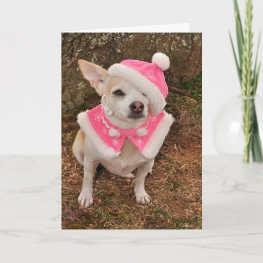 Weihnachtskarte Frau-Klaus Feiertagskarte (Vorderseite)