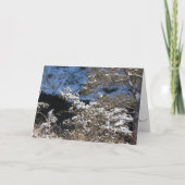 Weihnachtskarte "Frosty Pines" Karte (Vorderseite)