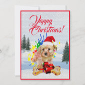 Weihnachtskarte "Funny Morkie Dog" Ankündigung (Vorderseite)