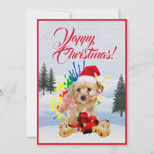 Weihnachtskarte "Funny Morkie Dog" Ankündigung (Vorderseite)