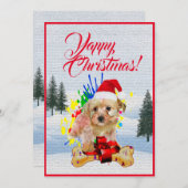 Weihnachtskarte "Funny Morkie Dog" Ankündigung (Vorne/Hinten)
