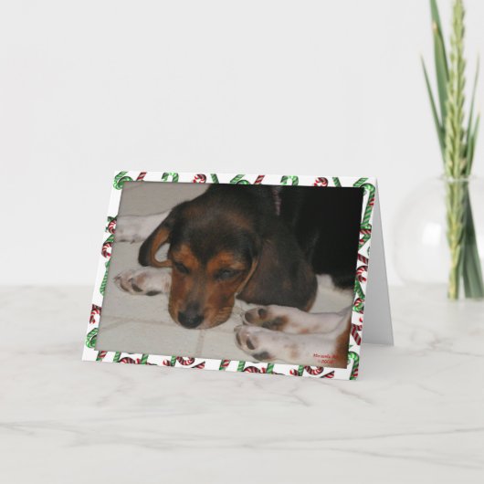 Weihnachtskarte für Beagle (Sleepy) Feiertagskarte (Vorderseite)