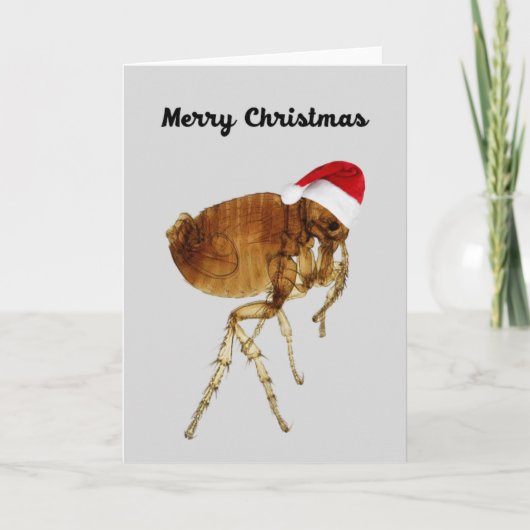Weihnachtskarte für Haustiere Feiertagskarte (Vorderseite)