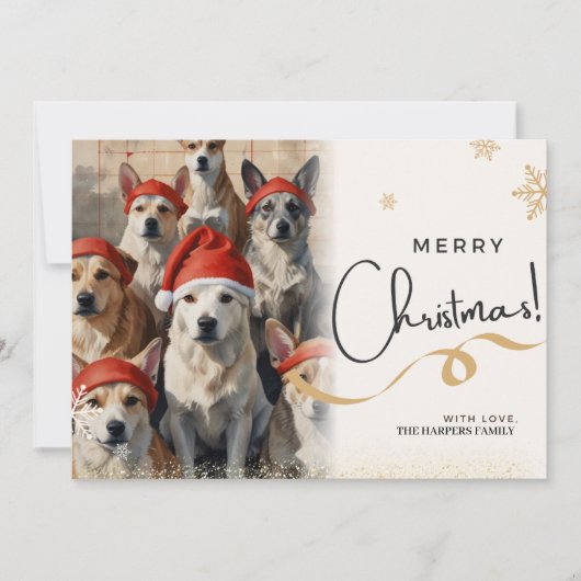 Weihnachtskarte für Hunde Feiertagskarte (Vorderseite)