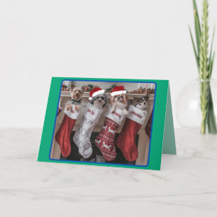 Weihnachtskarte für kleine Hunde am Kaminsims Feiertagskarte