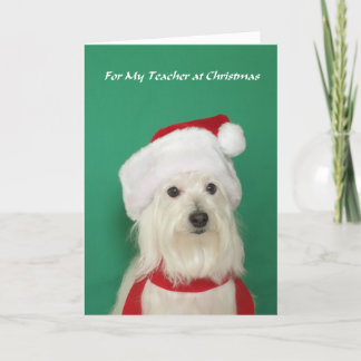 Weihnachtskarte für Lehrer — Niedlicher Hund Feiertagskarte