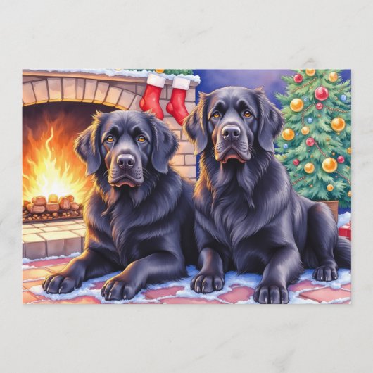 Weihnachtskarte für Neufundländer Feiertagskarte (Vorderseite)