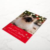 Weihnachtskarte für Päpste - Fotos Folien Feiertagskarte (Gedreht)