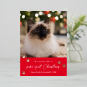 Weihnachtskarte für Päpste - Fotos Folien Feiertagskarte (Stehend vorne)