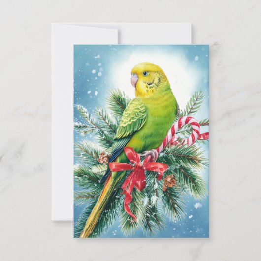 Weihnachtskarte für Parakeet und Candy Cane Dankeskarte (Vorderseite)