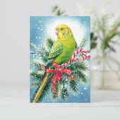 Weihnachtskarte für Parakeet und Candy Cane Dankeskarte (Stehend Vorderseite)