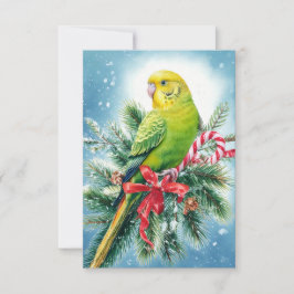 Weihnachtskarte für Parakeet und Candy Cane Dankeskarte