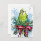 Weihnachtskarte für Parakeet und Weihnachtsfeierta Dankeskarte (Vorne/Hinten)