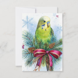 Weihnachtskarte für Parakeet und Weihnachtsfeierta Dankeskarte