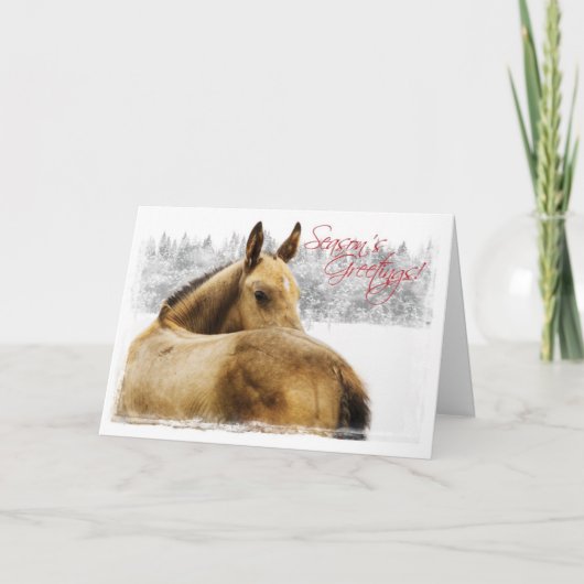 Weihnachtskarte für Pferde Feiertagskarte (Vorderseite)
